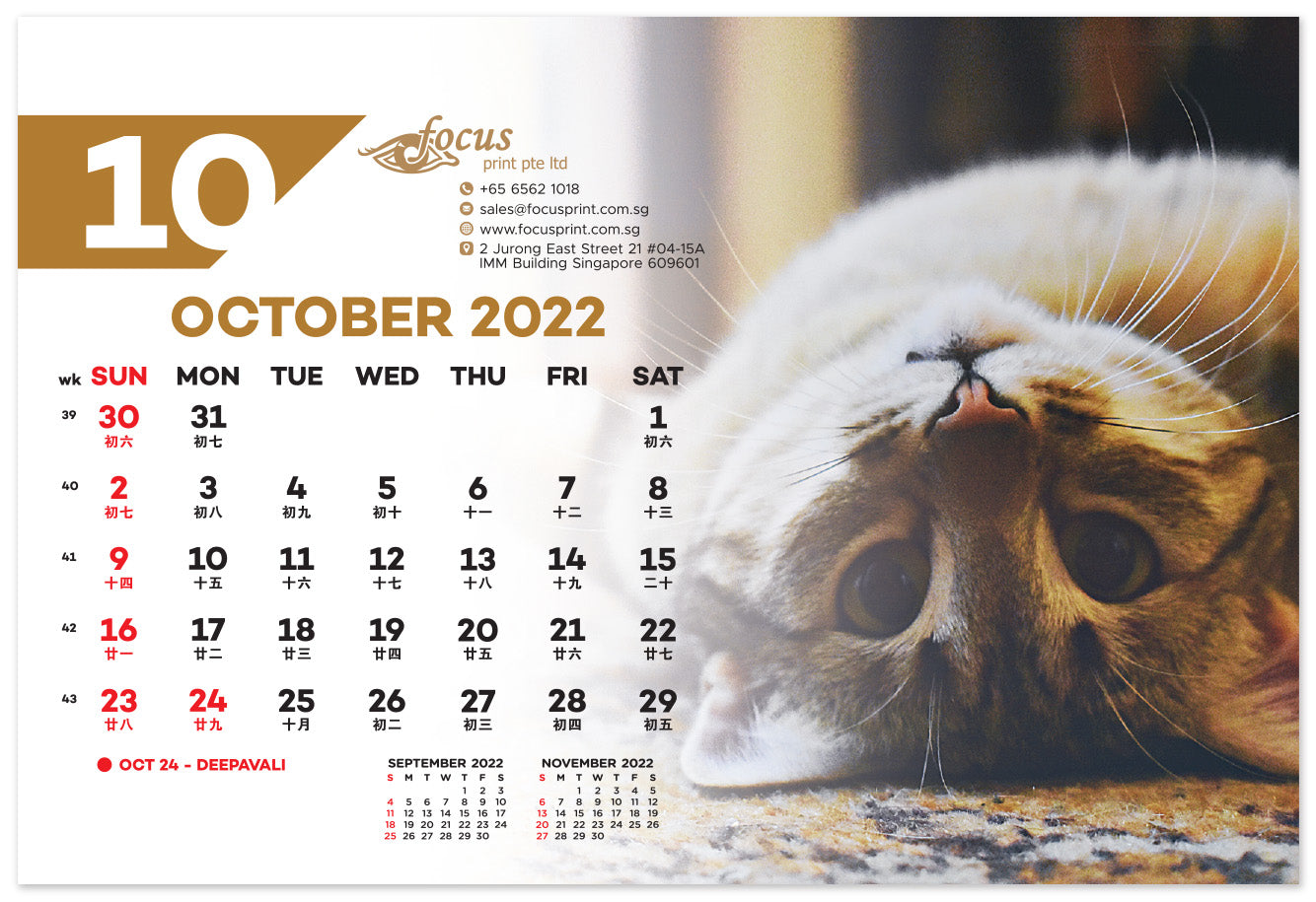 Cats Calendar 2022 - Focus Print