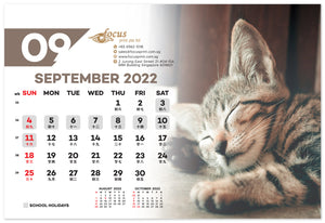 Cats Calendar 2022 - Focus Print