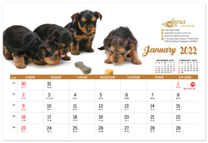 Dogs Calendar 2022 - Focus Print