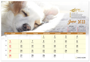 Dogs Calendar 2022 - Focus Print